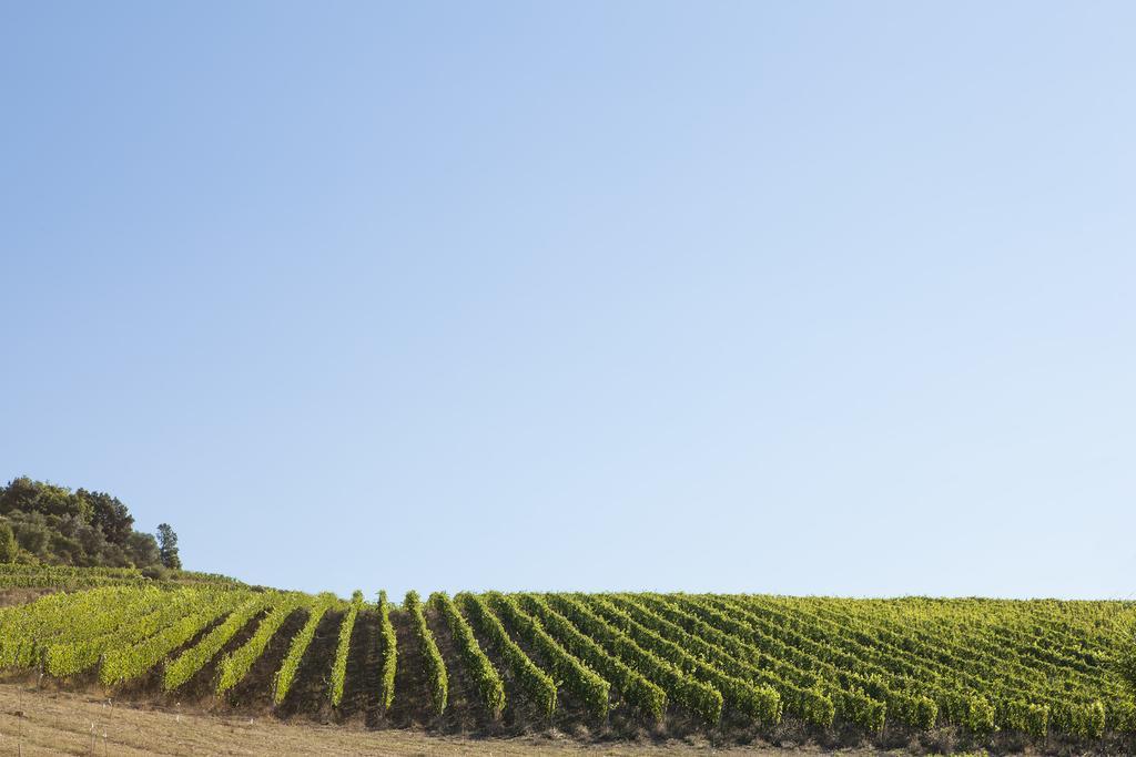 Вилла Quercia Al Poggio Барберино-Валь-д'Эльса Экстерьер фото